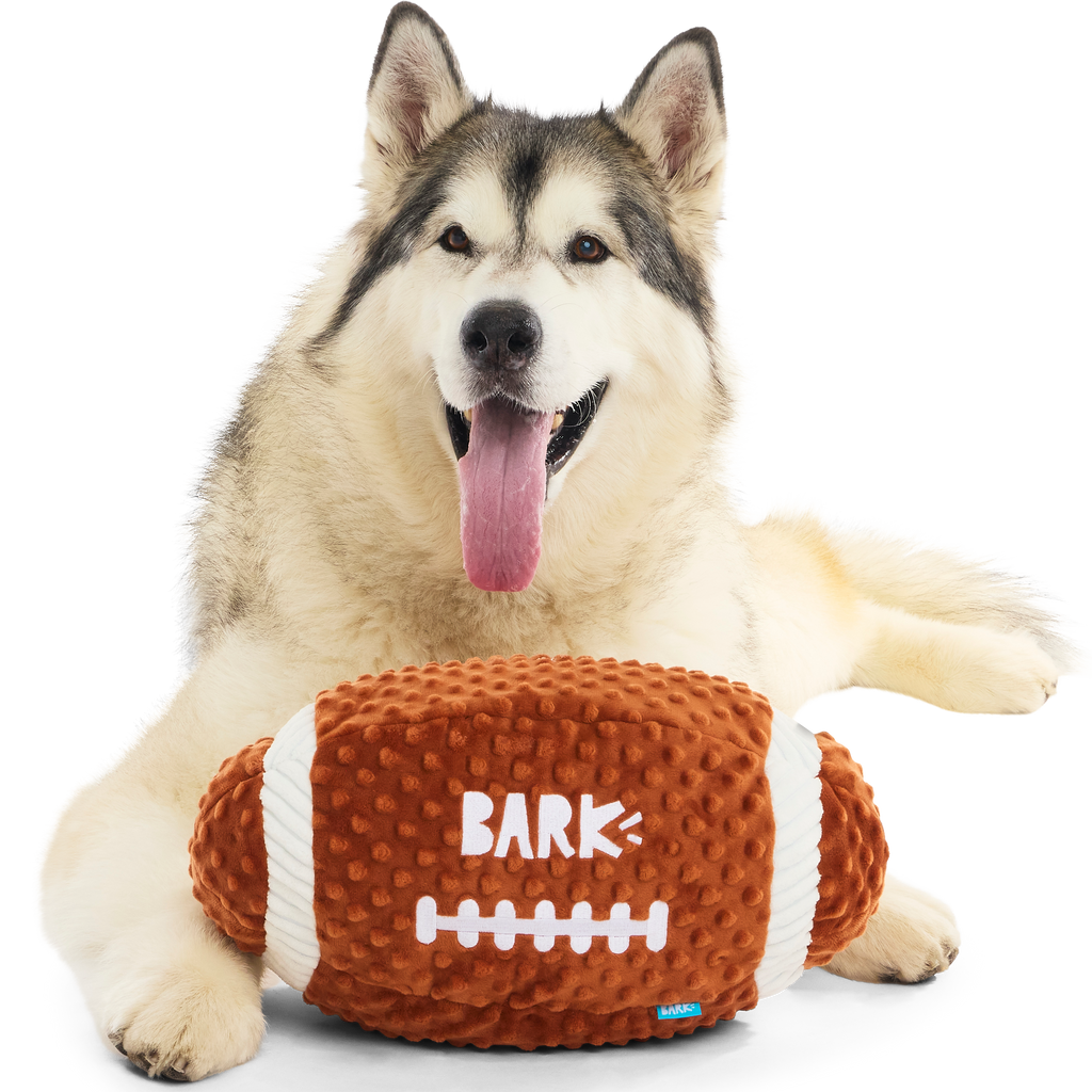 Wide Retriever Plush Fetch + Extra-Large Dog Toy