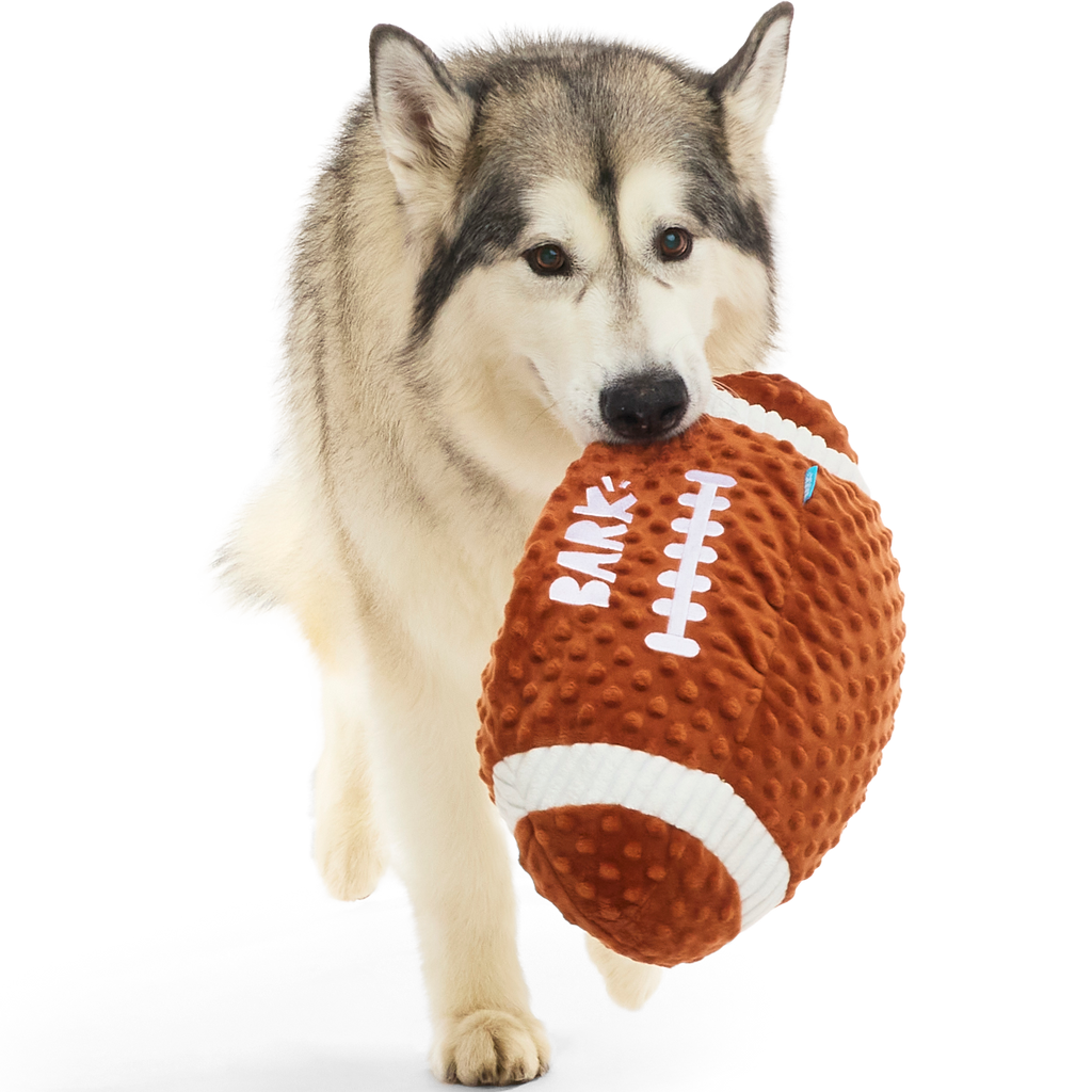 Wide Retriever Plush Fetch + Extra-Large Dog Toy