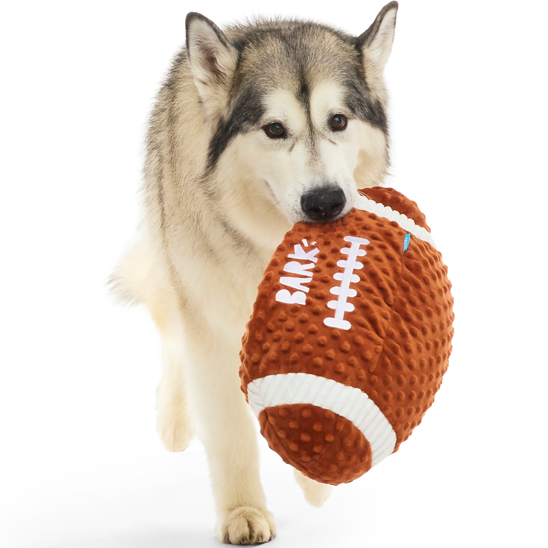 Wide Retriever Plush Fetch + Extra-Large Dog Toy