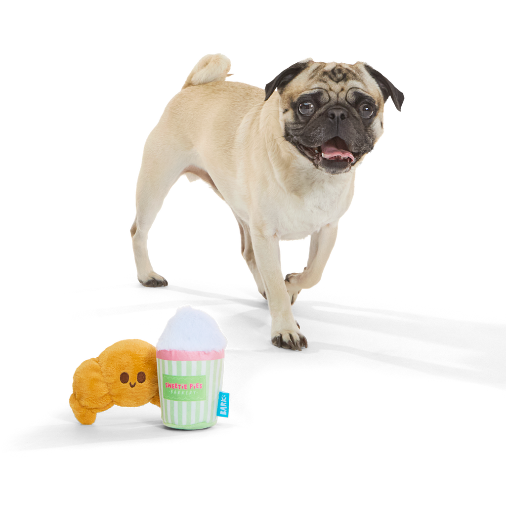 Ooh-la-la-latte Plush Multi-Part Dog Toy